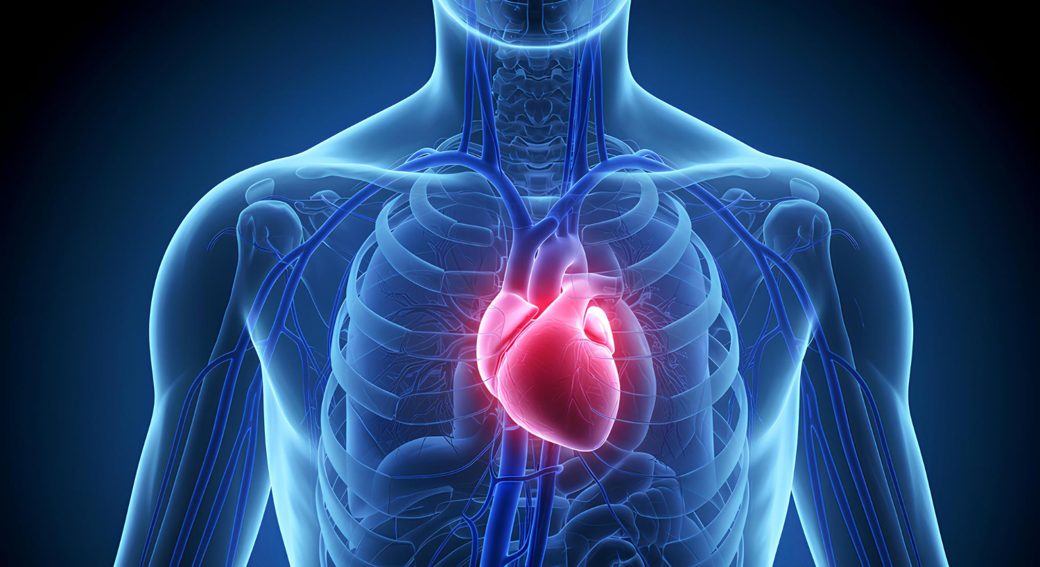 X-ray dada memperlihatkan area jantung—ilustrasi pemeriksaan radiologi