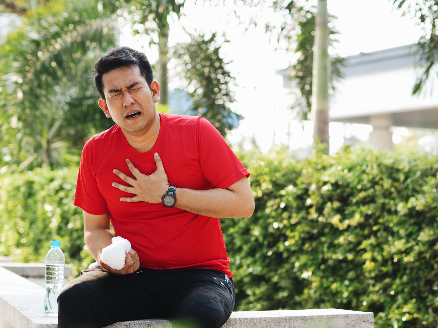 Ilustrasi anatomi dan kelainan katup jantung