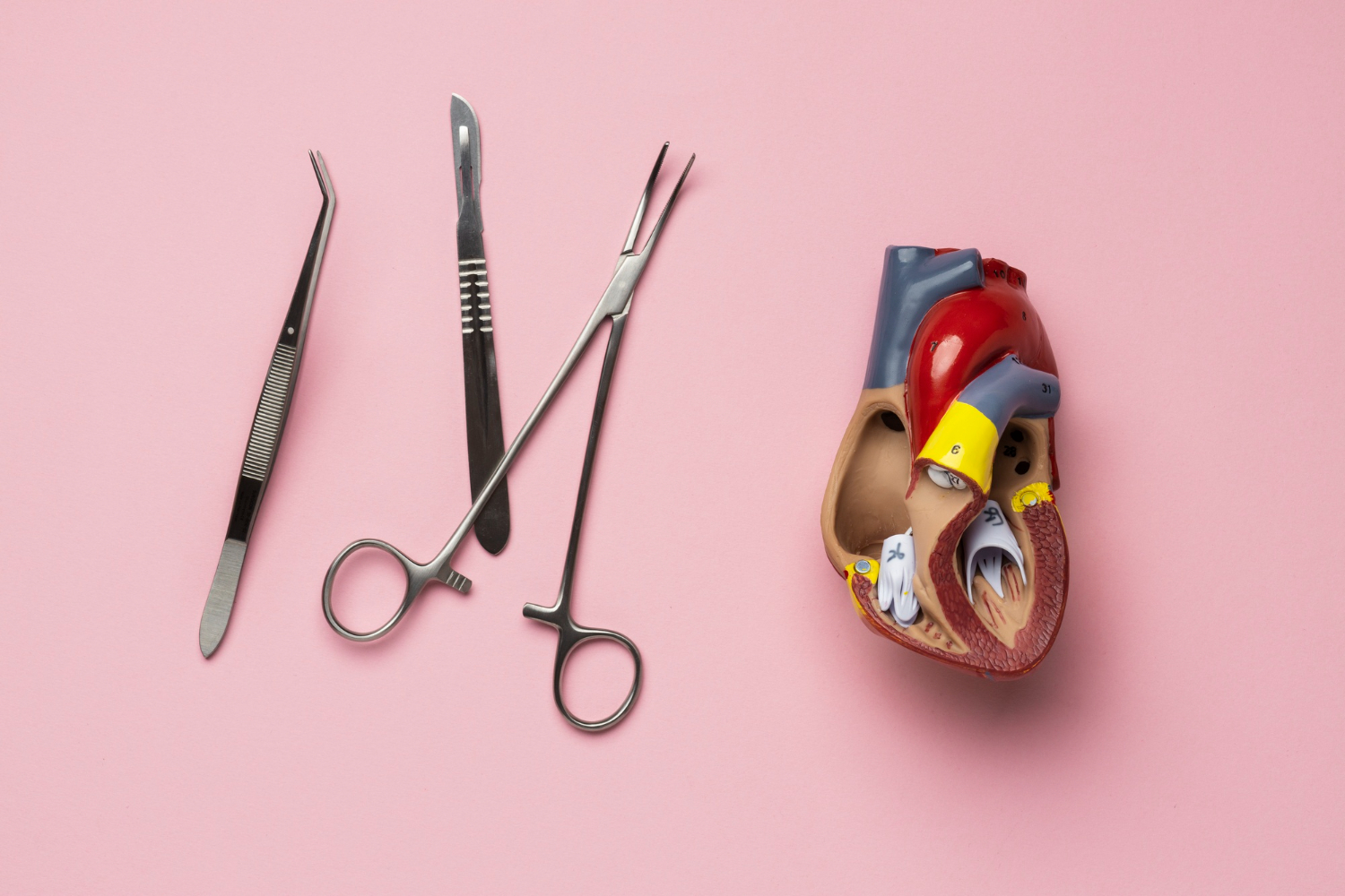 Teknik bedah katup jantung dan TAVI